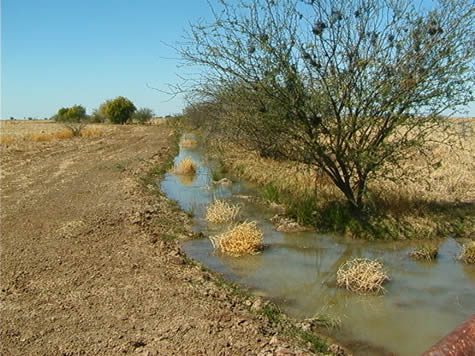 open_chan_irrigation.jpg