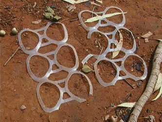 plastic_rings.jpg