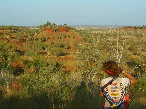 joshua_gum_escarpment.jpg