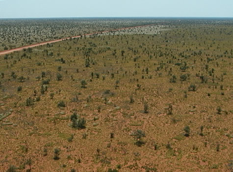 Extreme Climates - The Tanami Desert (Australia Lesson Activities -  Geography)