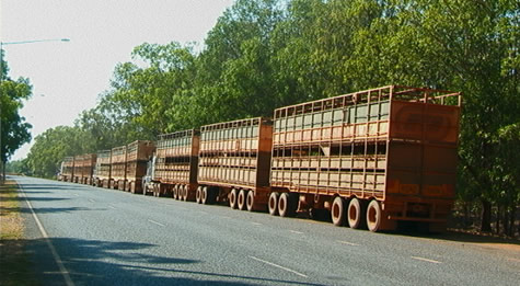 adelaide_river_roadtrains.jpg