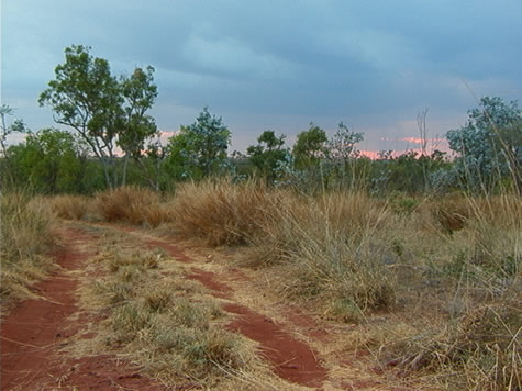 greg_park_red_road.jpg