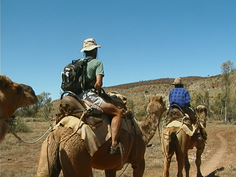 jason_and_henry_camels.jpg