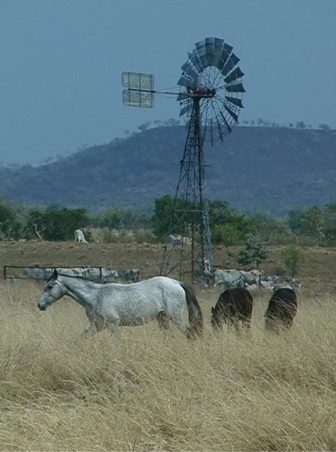 sanford_windmill_horse.jpg