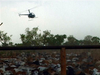heli_muster.jpg