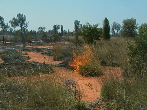 spinifex_wildfire.jpg