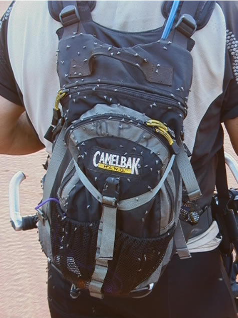 camelbak_flies2.jpg