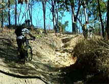 bikeontrail.jpg