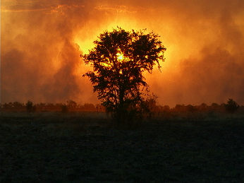 fire_sunset.jpg