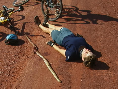 http://www.expedition360.com/journal/git_dead_snake.jpg