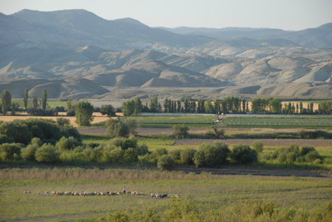 green_sheep_mountains.jpg