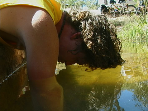 the water was murky, but also to sink knee deep into deceptively soft