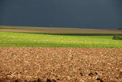 landscape_belgium.jpg