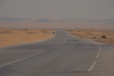 lonely_road_sinai.jpg