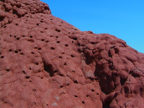 termite_mound_close-up.jpg