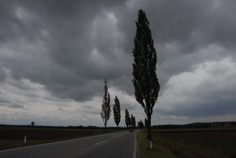 tree_clouds.jpg